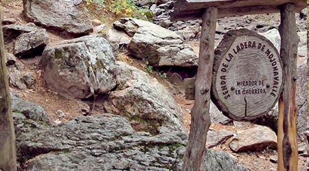 Canencia a las Cascadas de Mojonavalle, Abedular de Canencia